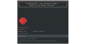 VPS OpenClaw Terminal Chat